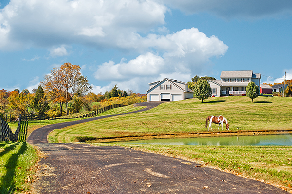 farm house with pond and horse