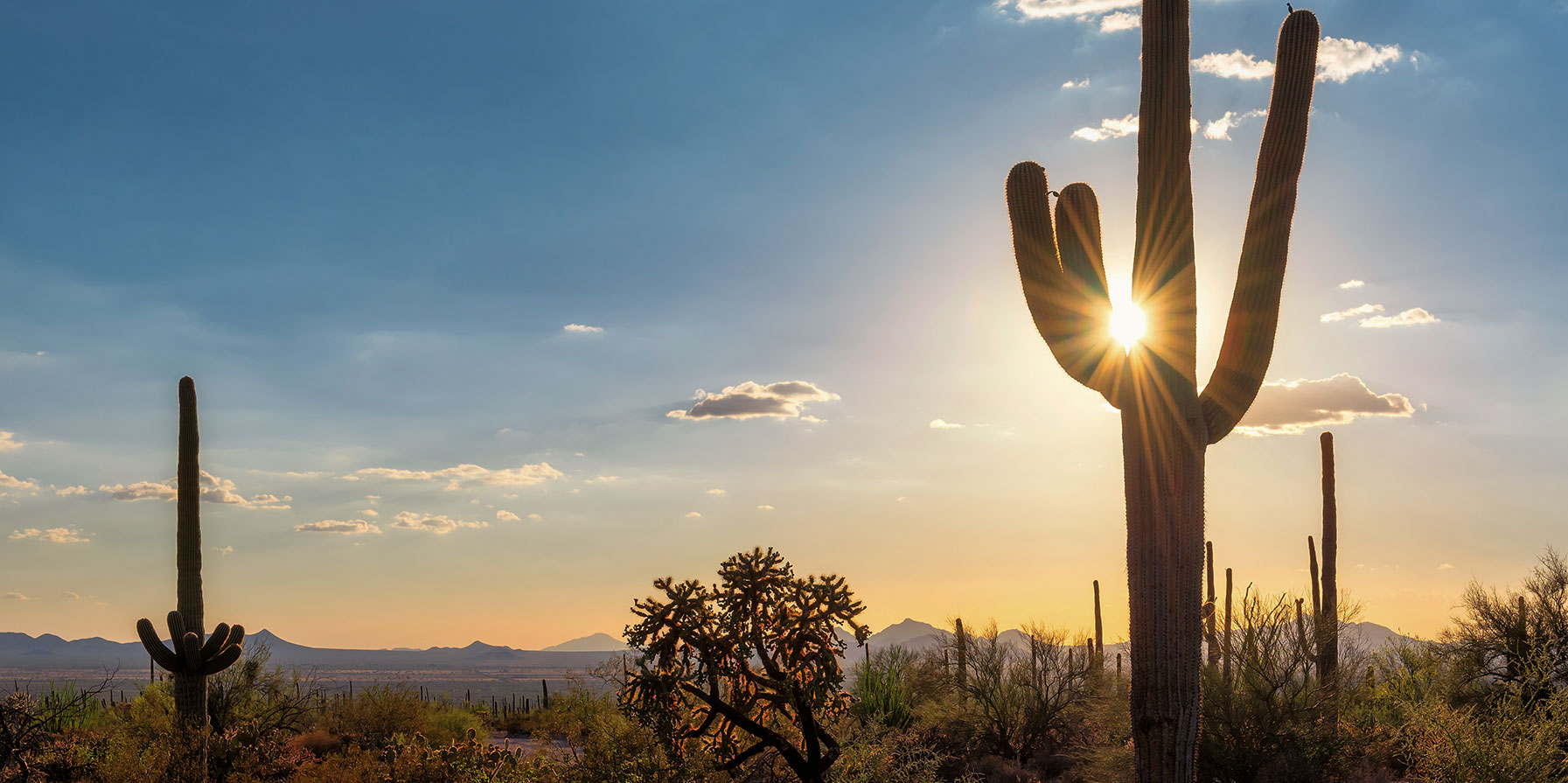 Find Top Real Estate Agents In Arizona Home & Money