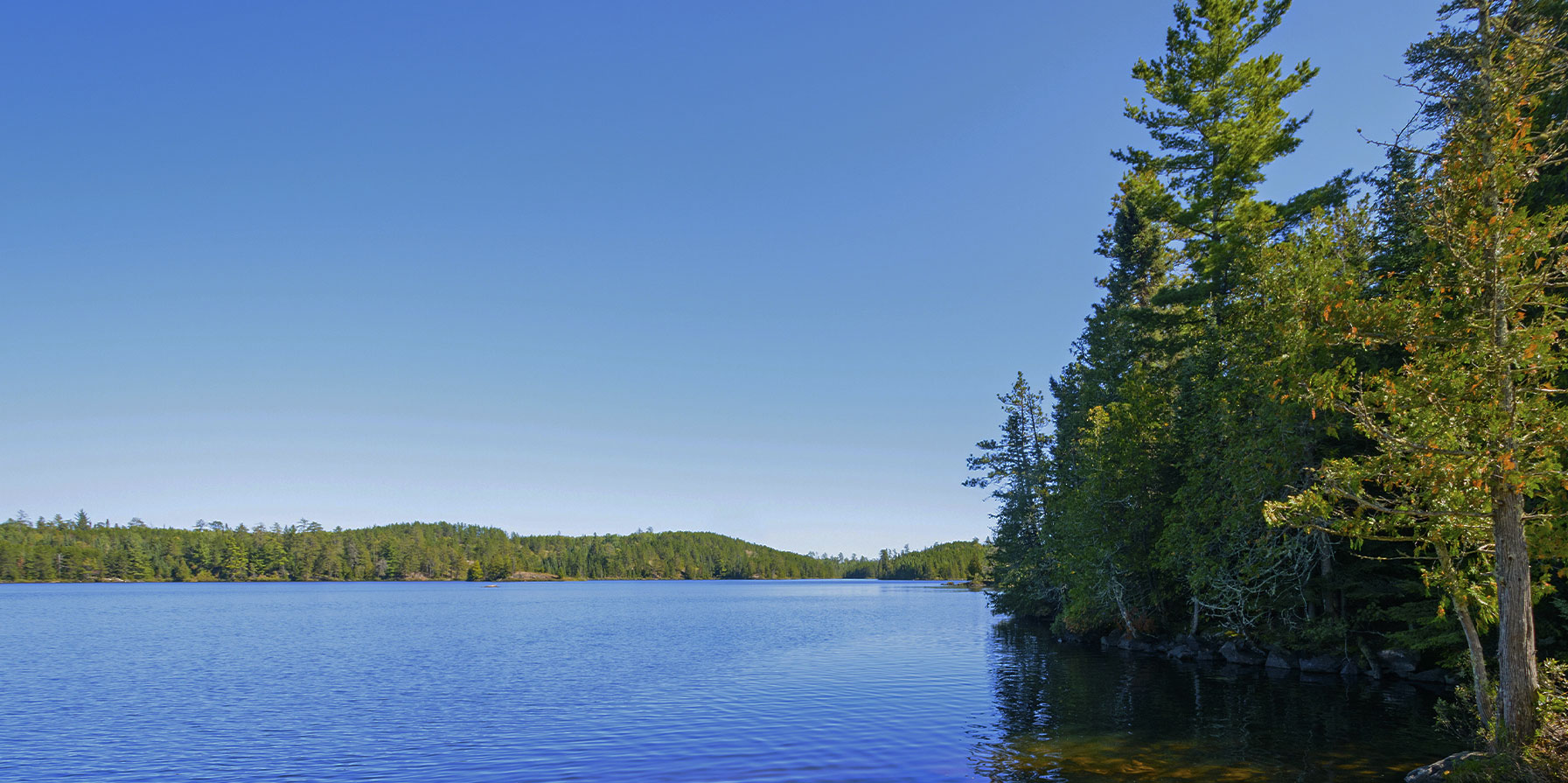 Find Top Real Estate Agents In Minnesota Home & Money