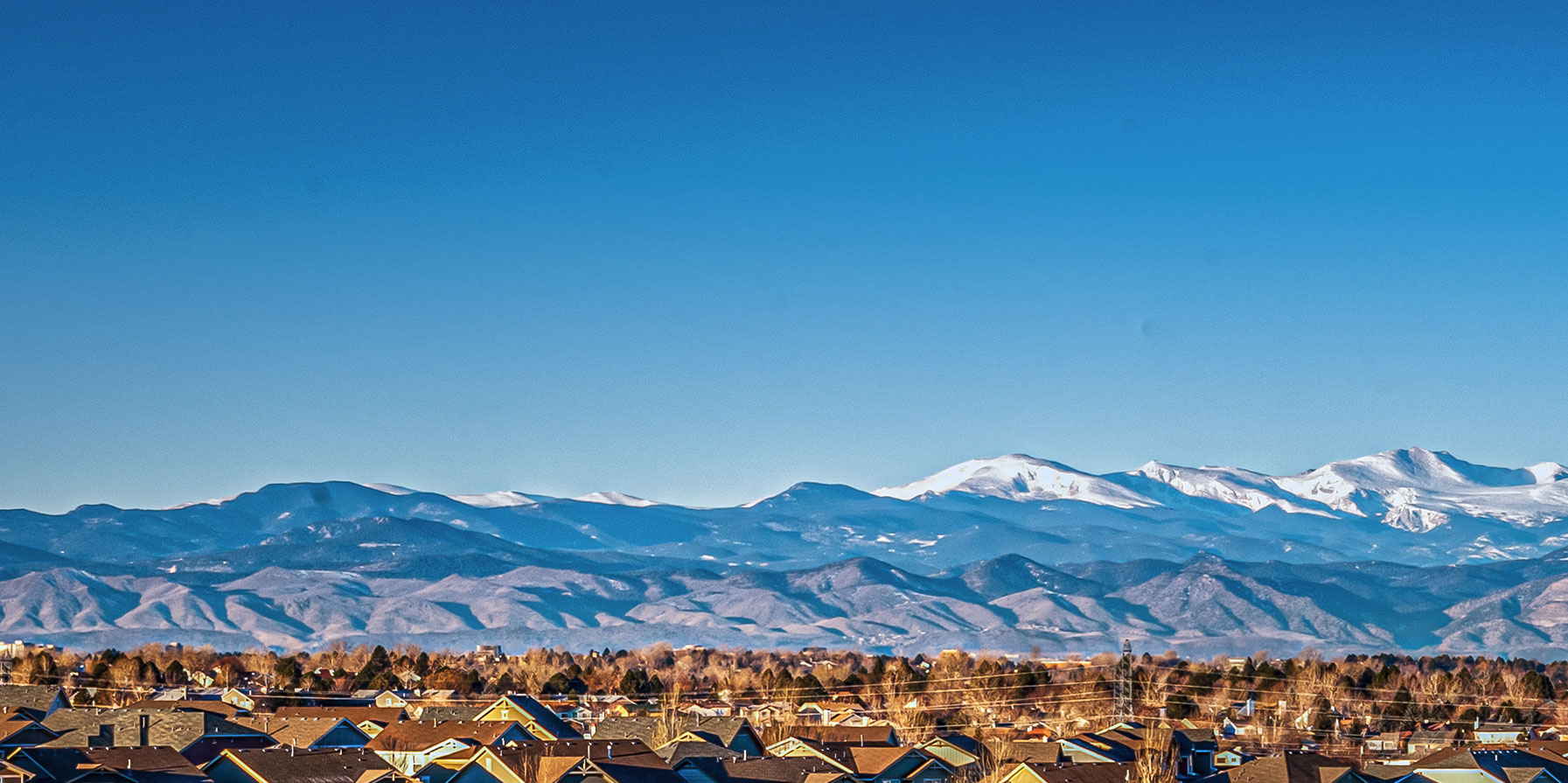 2024 Best Real Estate Agents in Thornton, CO Home & Money