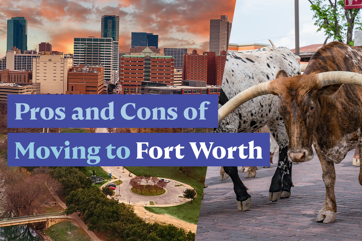 Skyline of Fort Worth and long horn cows