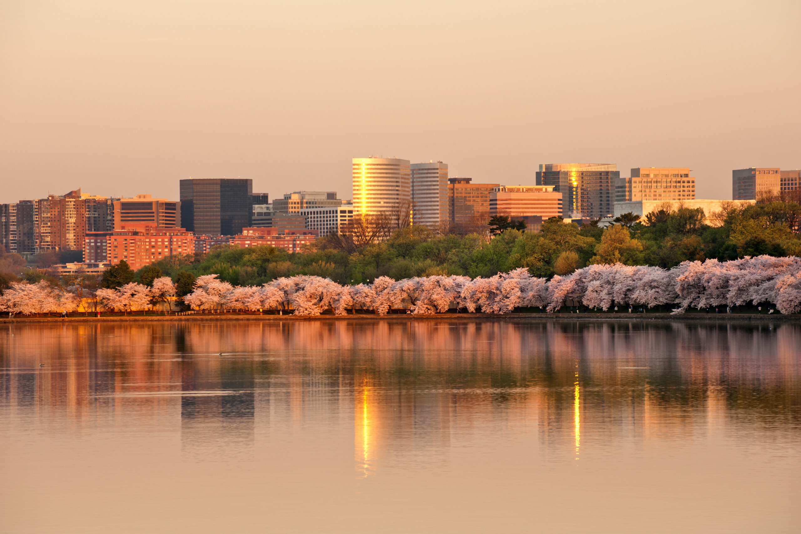 10 Things to Know Before Moving to Arlington, VA
