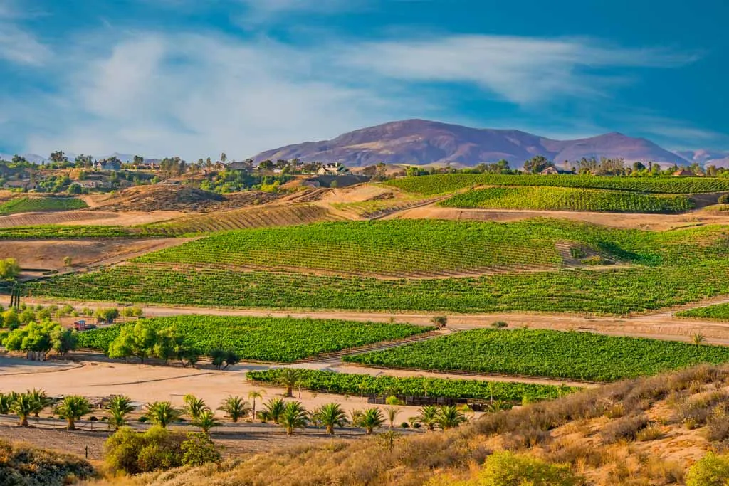 15 Things You Must Know Before Moving to Temecula, CA