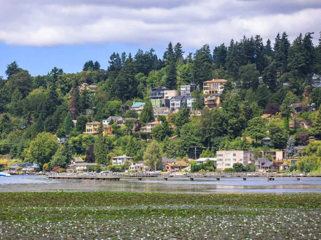 8 Things You Must Know Before Moving to Kirkland, WA