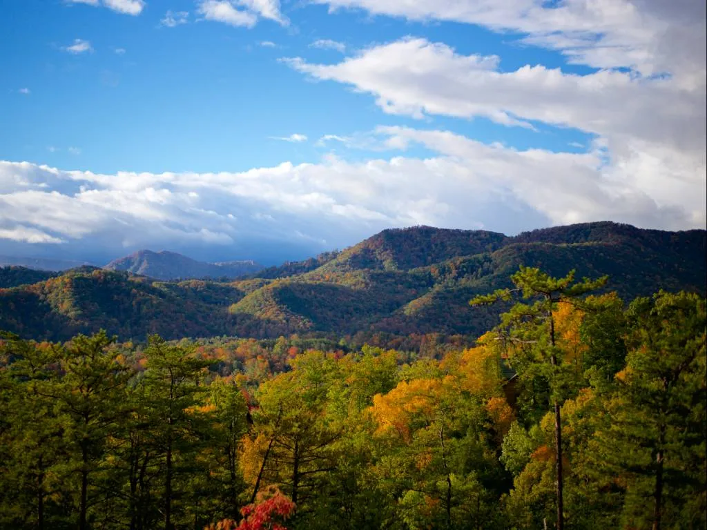 10 Pros and Cons of Living in Blue Ridge, GA