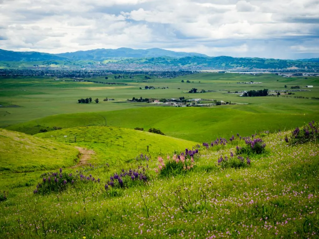 8 Things to Know Before Moving to Livermore, CA