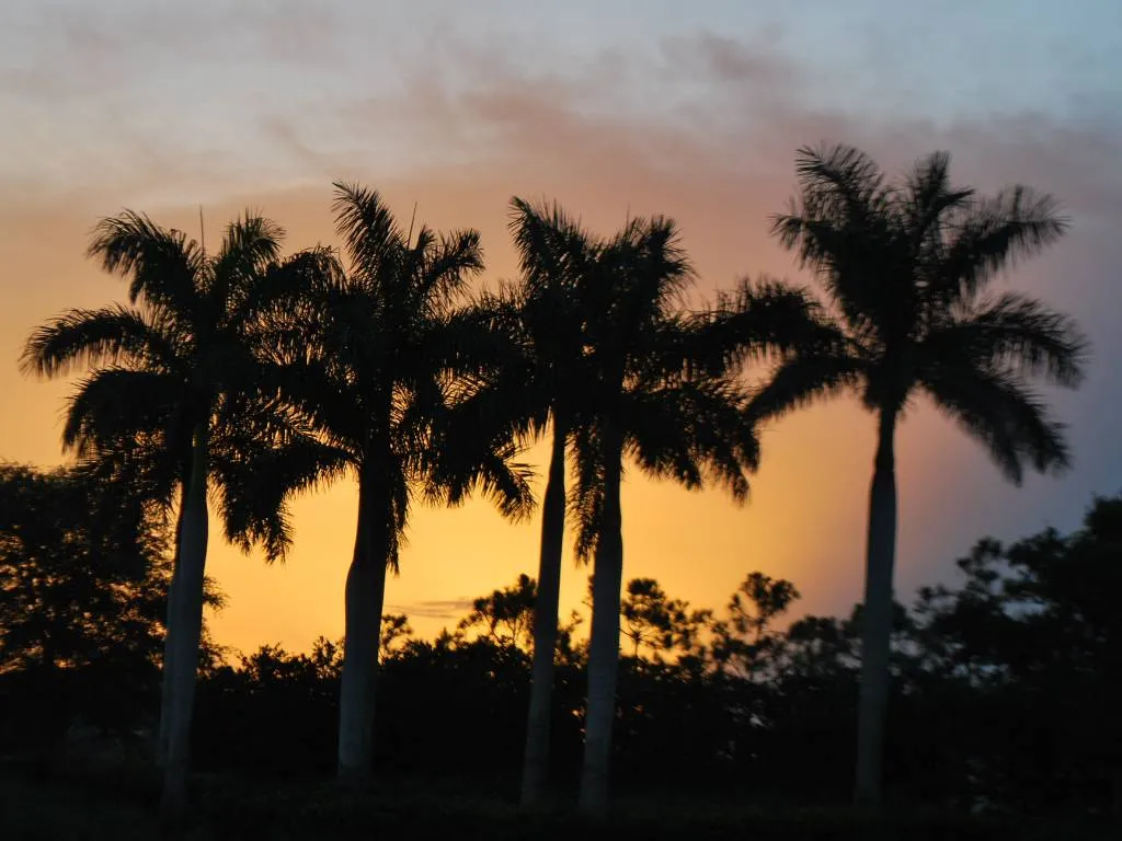 Top 10 Pros and Cons of Living in Parkland, FL