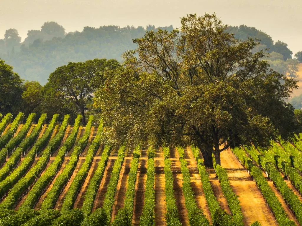 10 Things to Know Before Moving to Sonoma, CA Updated 2024