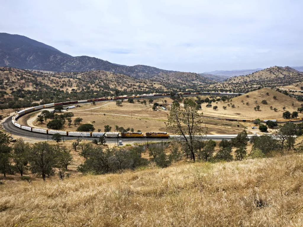 Tehachapi Mountain Festival 2024 Rene Vallie